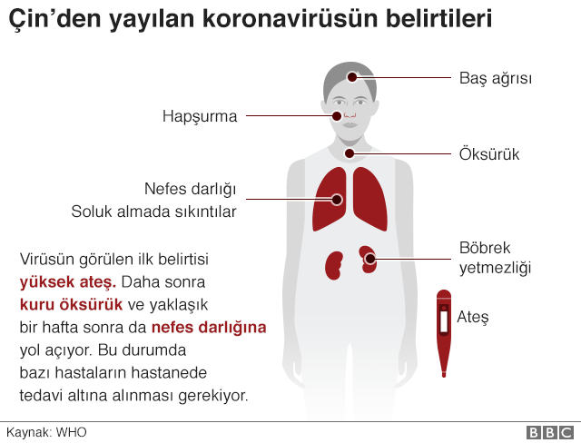 Kovid-19